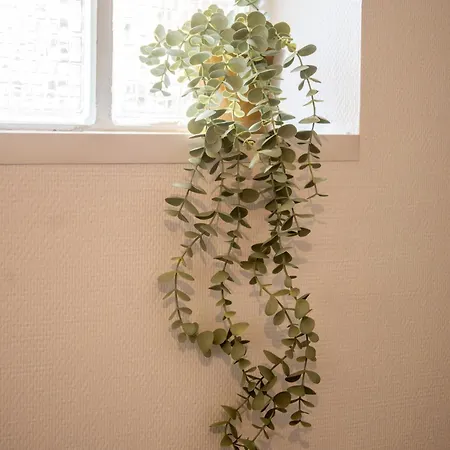 アパート Le Pastel - - Proche Commerces - Cosy - Familial *